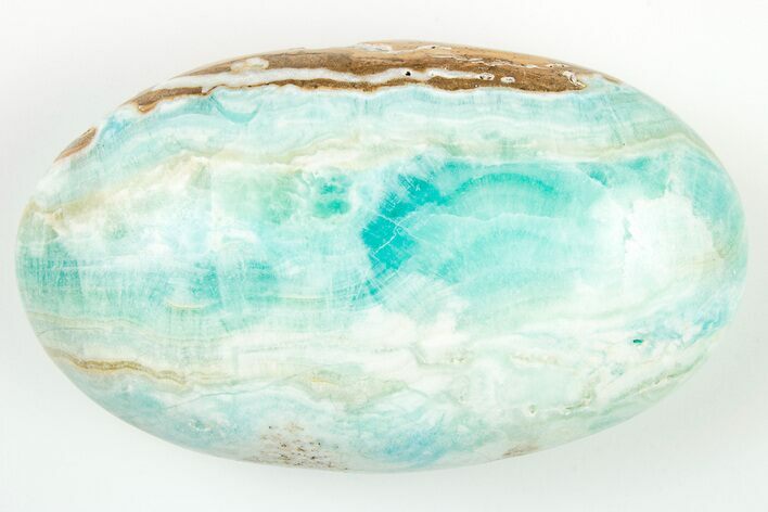 Polished Blue Caribbean Calcite Palm Stone #187860